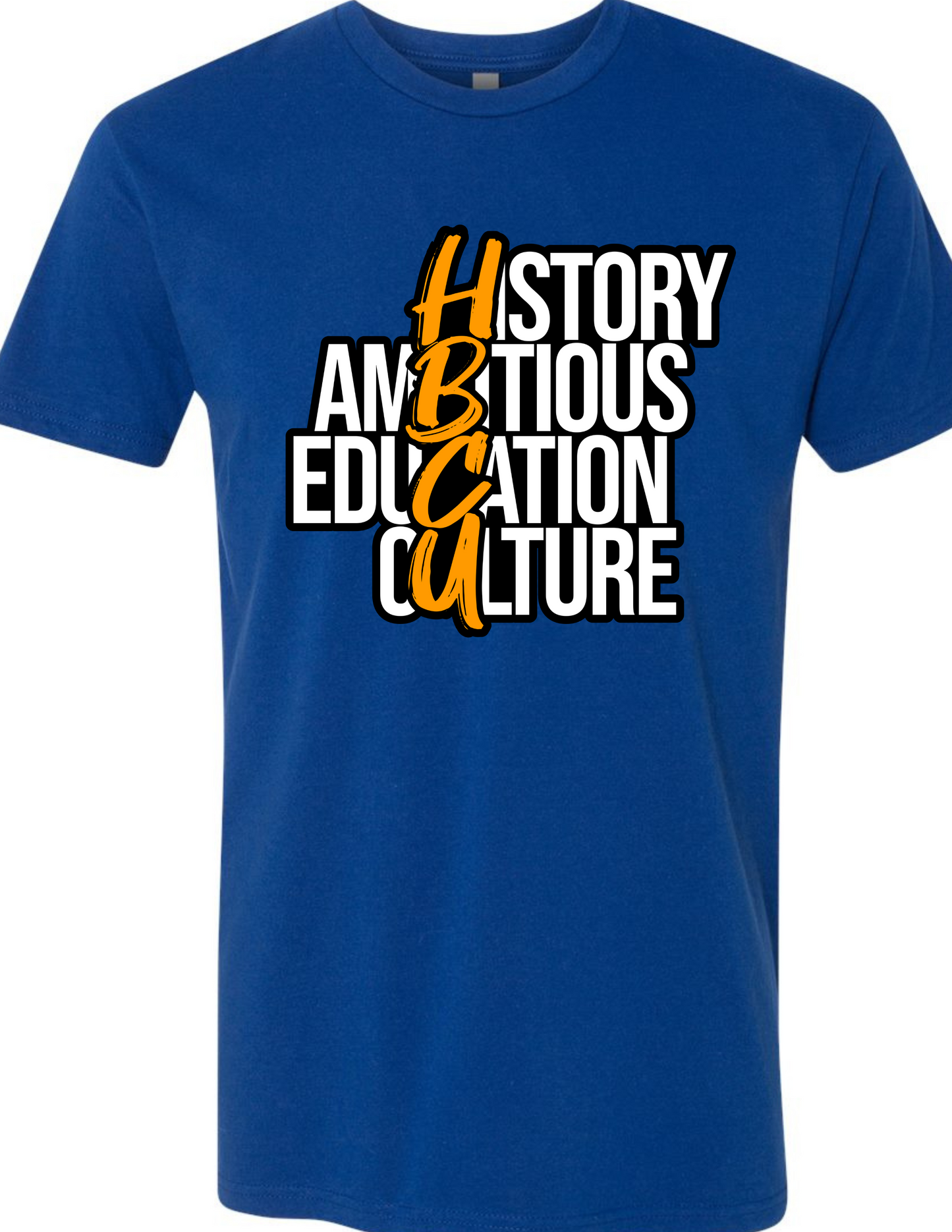 HISTORY - AMBITIOUS - EDUCATION - CULTURE