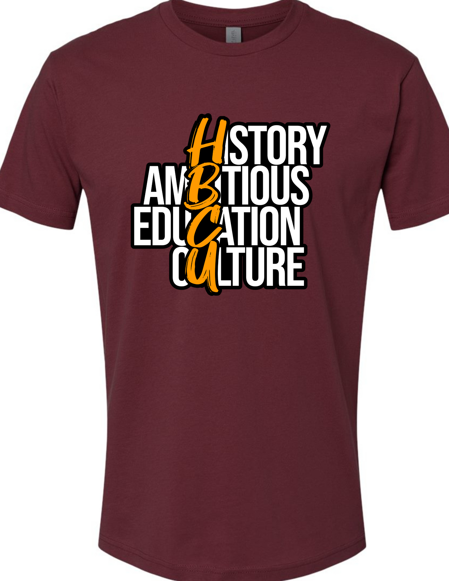 HISTORY - AMBITIOUS - EDUCATION - CULTURE